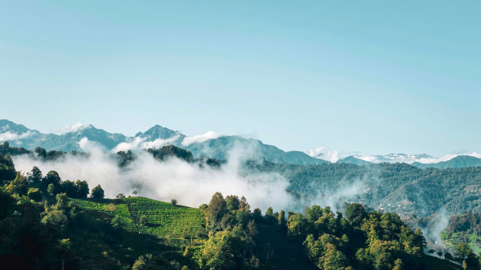 Dedektif Artvin geleneksel kıyafetlerle yeşil dağlar arasında