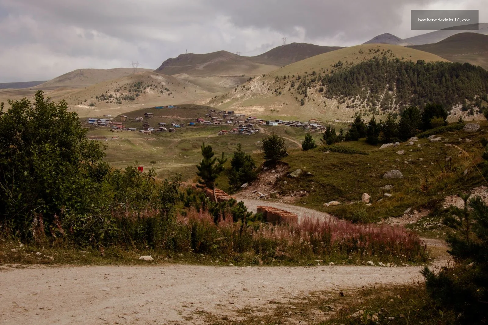 Artvin’de Sırlarınızı Keşfetmek İçin Güçlü Özel Dedektif Hizmetleri: Şehrin Gizemlerini Etik Araştırmalarla Aydınlatın 3 Artvin Merkez Dedektif Artvin’deki sakin dağ manzaraları ve yeşil ormanlar