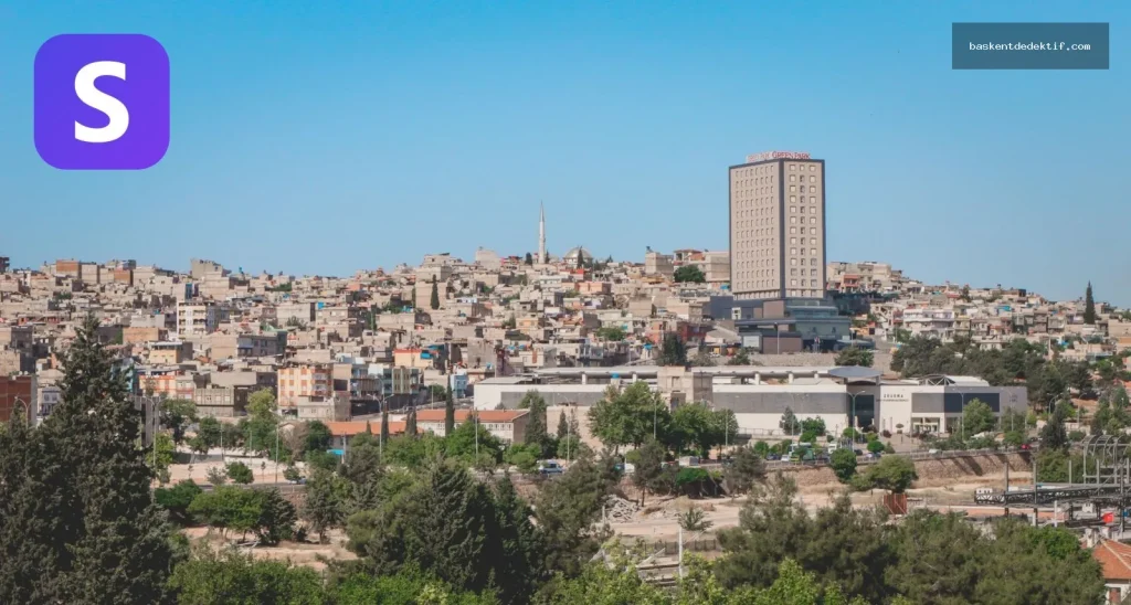 Dedektif Gaziantep: Evcil Hayvan Pansiyonu Hizmetini Doğrulama Rehberi