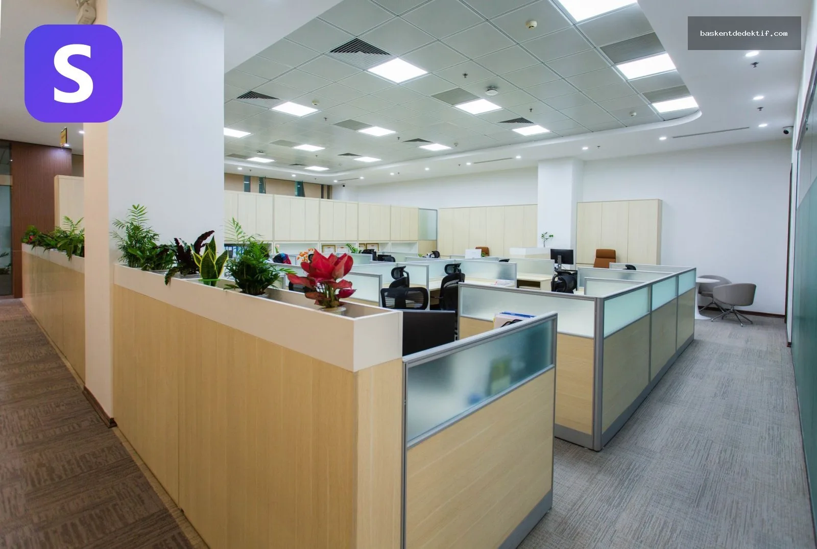Geniş aydınlık çalışma alanı bitkiler ve modern tasarım ile Merkez Dedektif ofisi