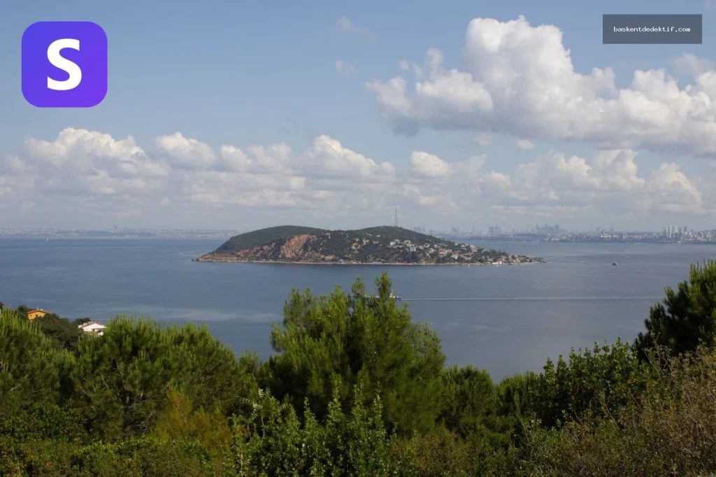 İstanbul Adalar Dedektif: Ada Koşullarında Saha Araştırması Nasıl Planlanır?