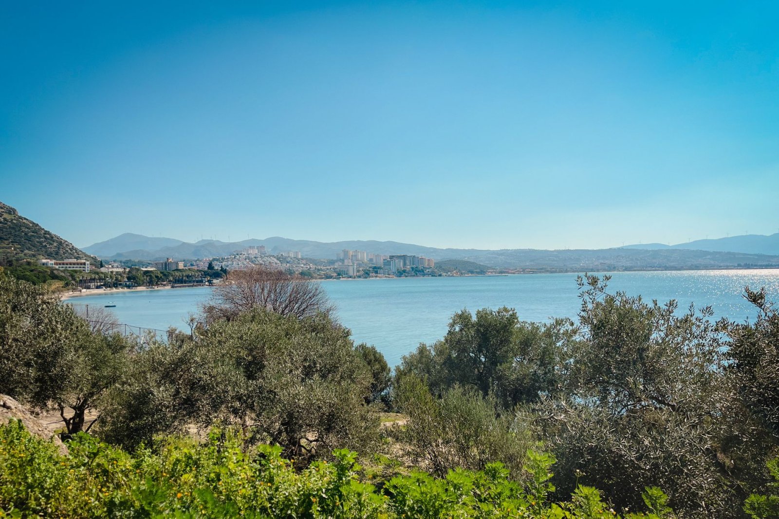 Kuşadası’nın deniz kenarı ve yeşil oliv ağaçlarıyla güzel bir manzara