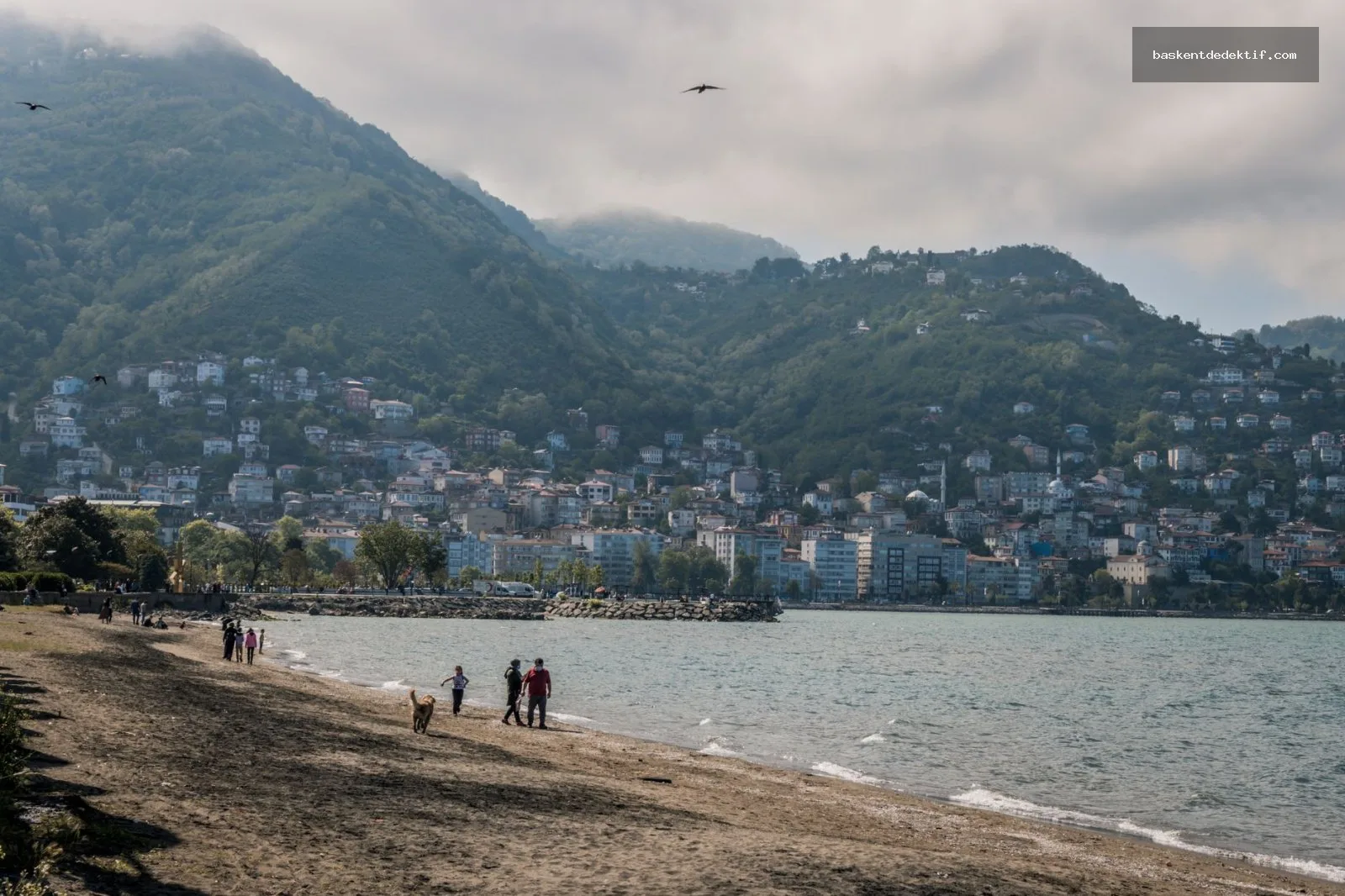Ordu şehir merkezinde araştırma yapan Ordu Merkez Dedektif