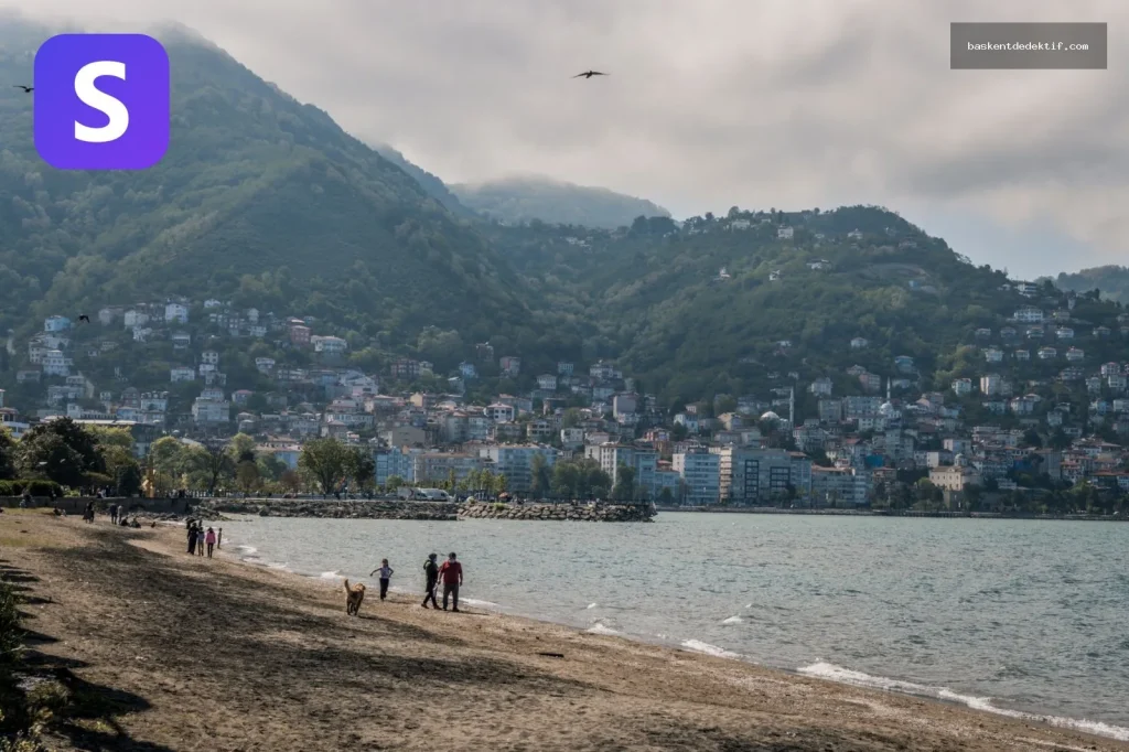 Ordu Merkez Dedektif: Bulgular Nasıl Değerlendirilir?