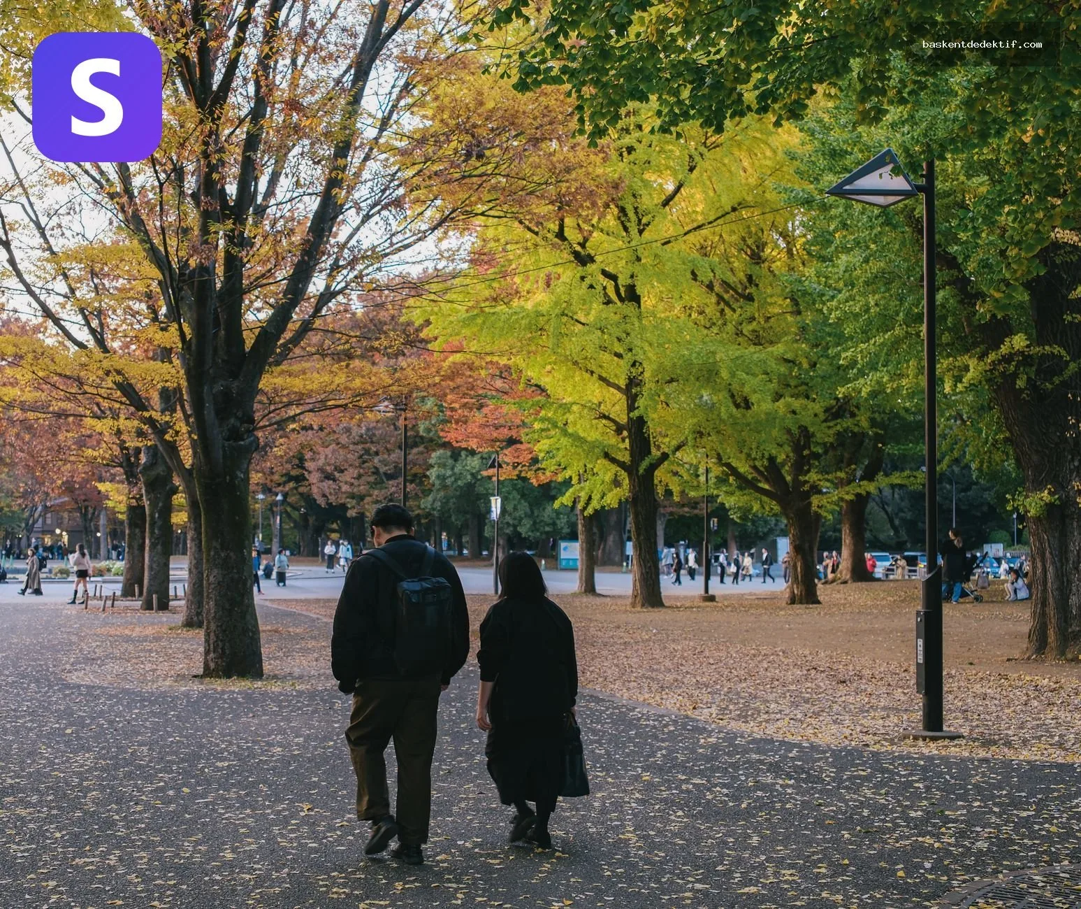 Sakarya Özel Dedektif ile Miras Uyuşmazlığında Bilgi Toplama Rehberi 3 Sakarya Eş Takibi çift, sonbahar parkta yürür